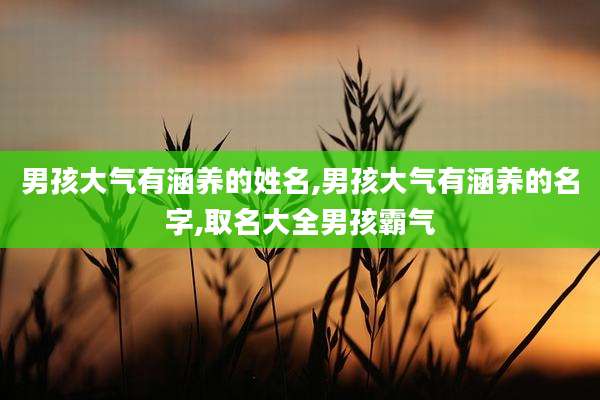 男孩大气有涵养的姓名,男孩大气有涵养的名字,取名大全男孩霸气