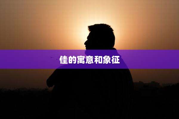 佳的寓意和象征
