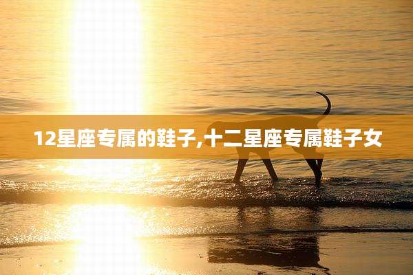 12星座专属的鞋子,十二星座专属鞋子女