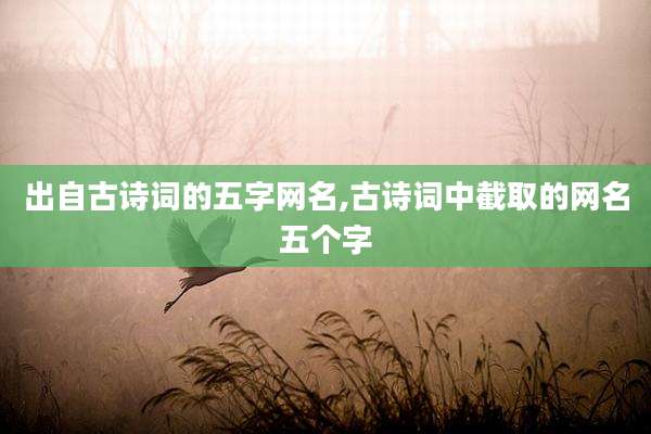 出自古诗词的五字网名,古诗词中截取的网名五个字