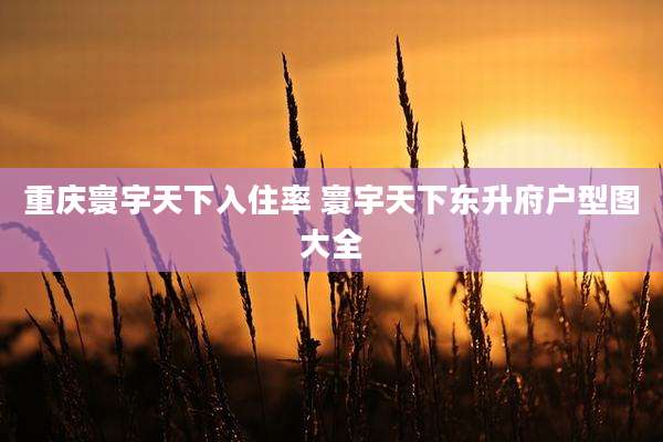 重庆寰宇天下入住率 寰宇天下东升府户型图大全