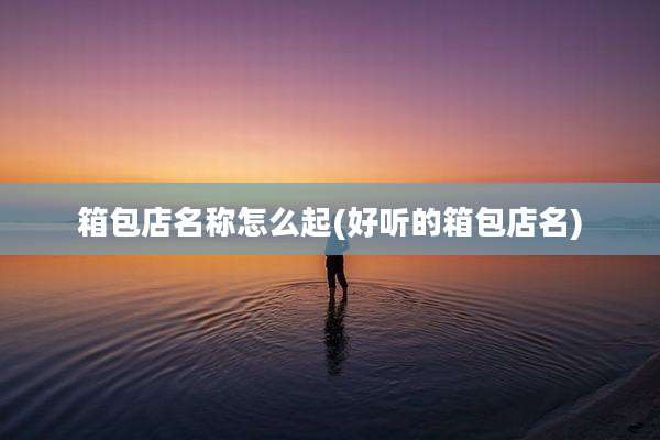 箱包店名称怎么起(好听的箱包店名)