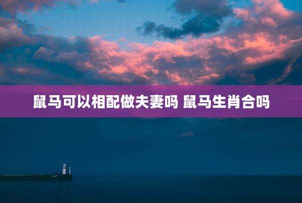 鼠马可以相配做夫妻吗 鼠马生肖合吗