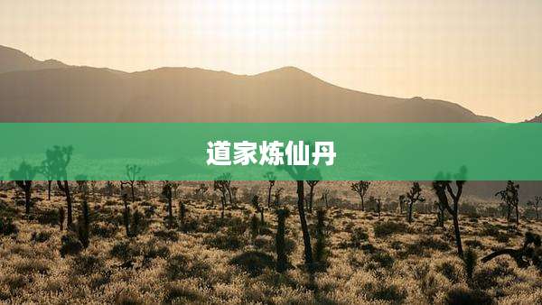 道家炼仙丹