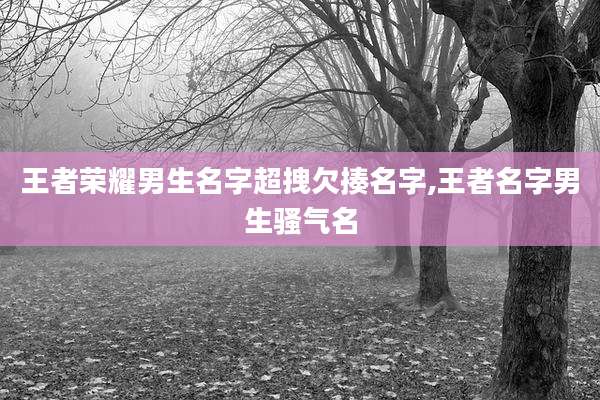 王者荣耀男生名字超拽欠揍名字,王者名字男生骚气名