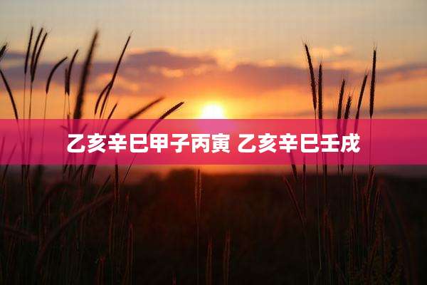 乙亥辛巳甲子丙寅 乙亥辛巳壬戌