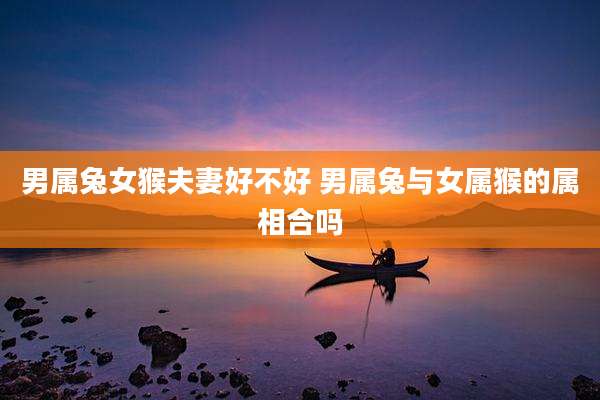 男属兔女猴夫妻好不好 男属兔与女属猴的属相合吗