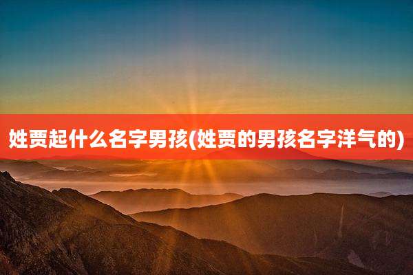 姓贾起什么名字男孩(姓贾的男孩名字洋气的)