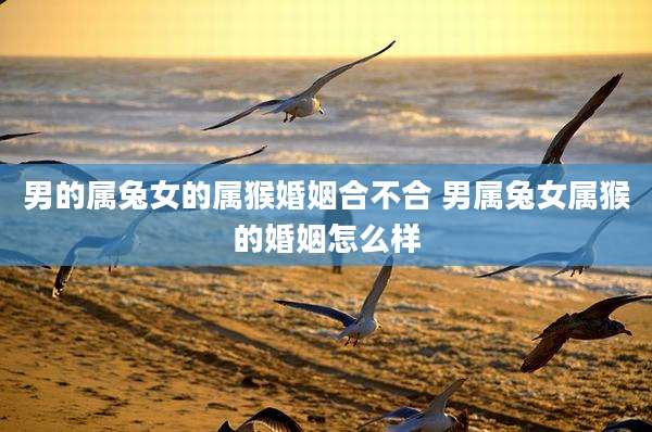 男的属兔女的属猴婚姻合不合 男属兔女属猴的婚姻怎么样