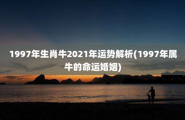 1997年生肖牛2021年运势解析(1997年属牛的命运婚姻)
