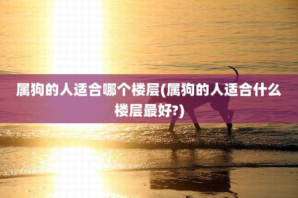 属狗的人适合哪个楼层(属狗的人适合什么楼层最好?)