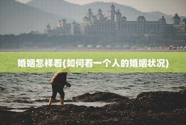 婚姻怎样看(如何看一个人的婚姻状况)