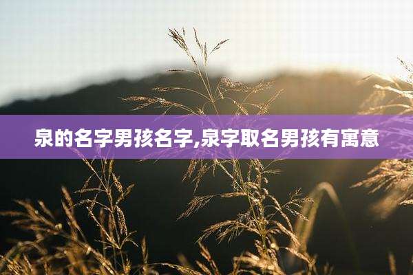 泉的名字男孩名字,泉字取名男孩有寓意