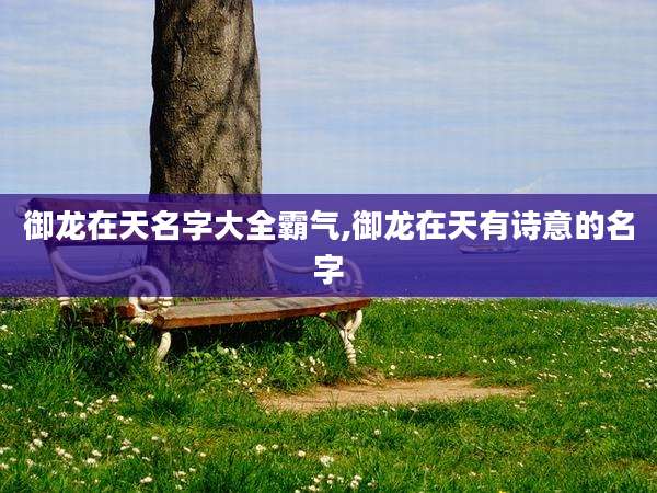 御龙在天名字大全霸气,御龙在天有诗意的名字