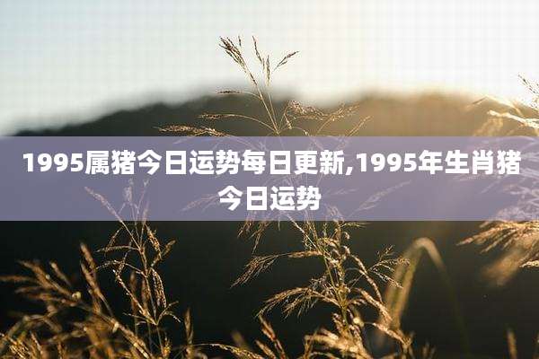 1995属猪今日运势每日更新,1995年生肖猪今日运势