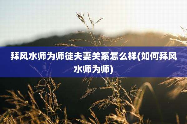 拜风水师为师徒夫妻关系怎么样(如何拜风水师为师)