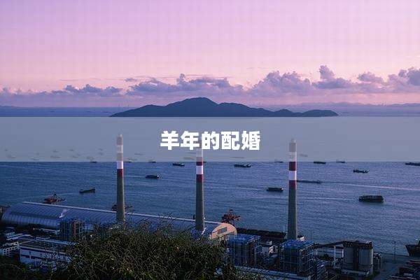 羊年的配婚