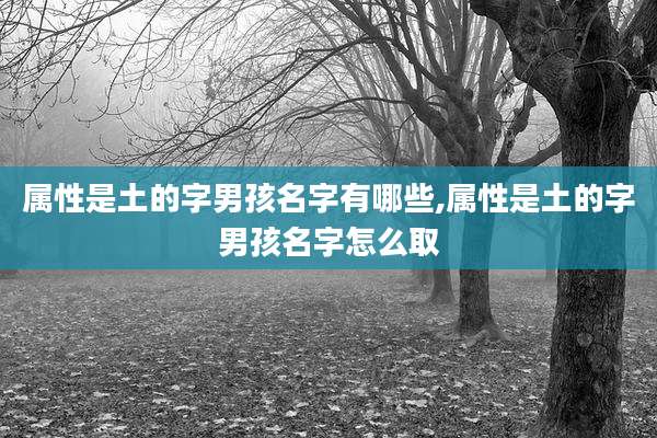 属性是土的字男孩名字有哪些,属性是土的字男孩名字怎么取