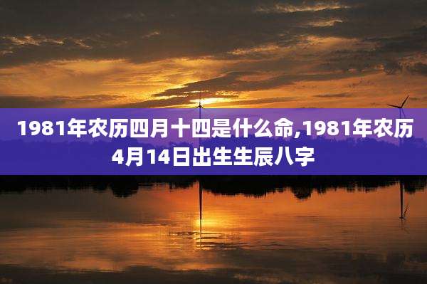 1981年农历四月十四是什么命,1981年农历4月14日出生生辰八字
