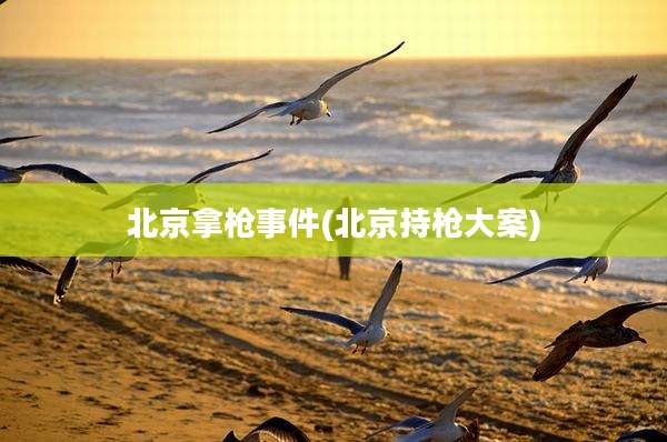 北京拿枪事件(北京持枪大案)