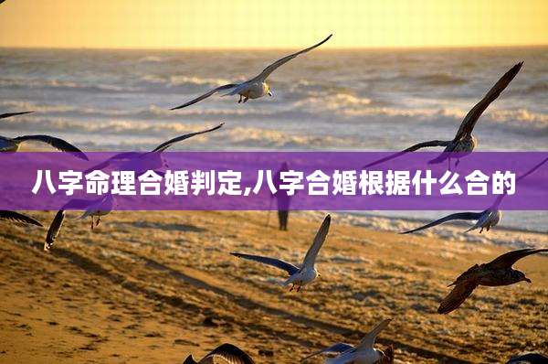 八字命理合婚判定,八字合婚根据什么合的