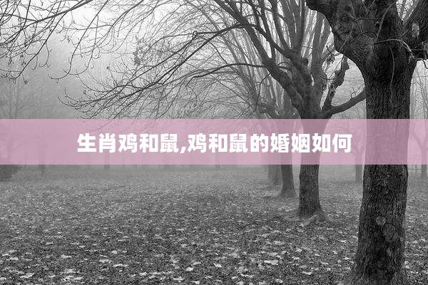 生肖鸡和鼠,鸡和鼠的婚姻如何