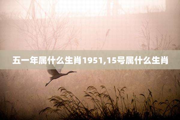 五一年属什么生肖1951,15号属什么生肖
