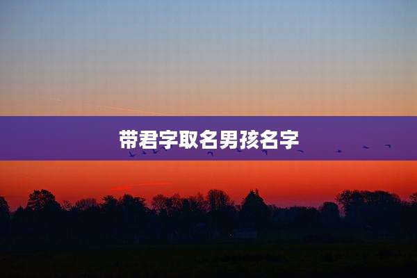 带君字取名男孩名字