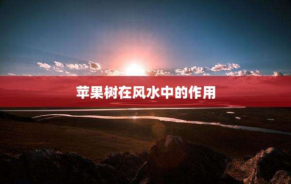 苹果树在风水中的作用