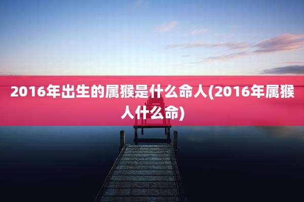 2016年出生的属猴是什么命人(2016年属猴人什么命)