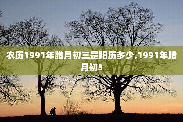 农历1991年腊月初三是阳历多少,1991年腊月初3