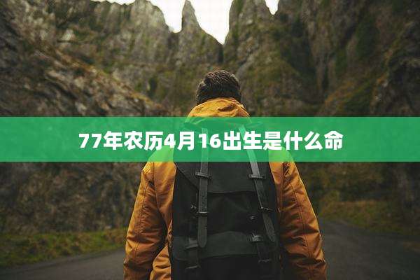77年农历4月16出生是什么命