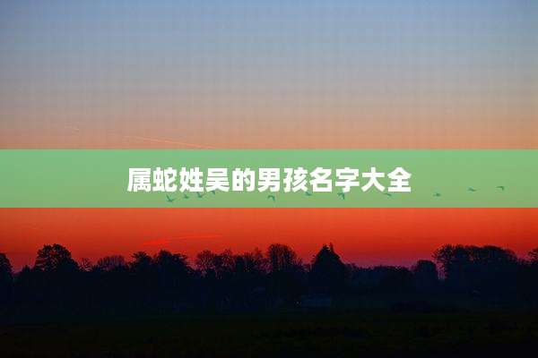 属蛇姓吴的男孩名字大全