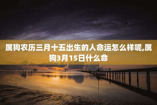 属狗农历三月十五出生的人命运怎么样呢,属狗3月15日什么命