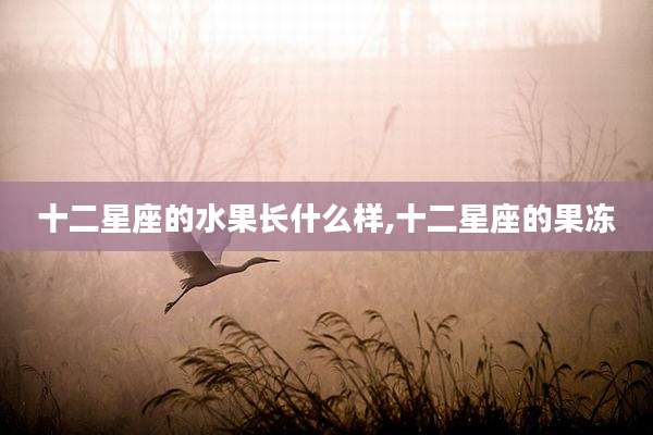 十二星座的水果长什么样,十二星座的果冻