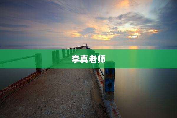 李真老师