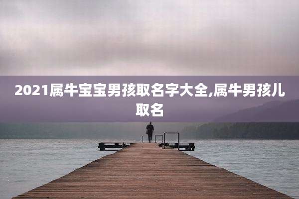 2021属牛宝宝男孩取名字大全,属牛男孩儿取名