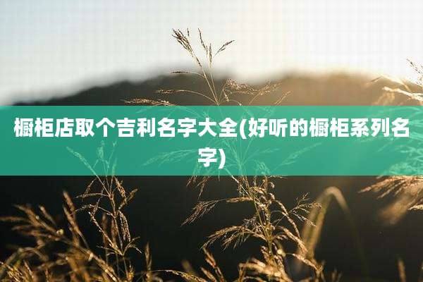 橱柜店取个吉利名字大全(好听的橱柜系列名字)