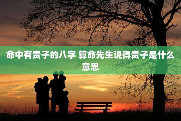 命中有贵子的八字 算命先生说得贵子是什么意思