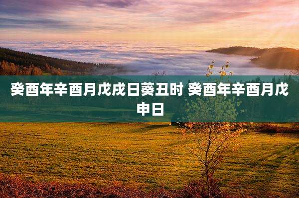 癸酉年辛酉月戊戌日葵丑时 癸酉年辛酉月戊申日