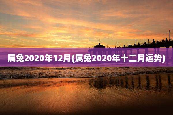 属兔2020年12月(属兔2020年十二月运势)