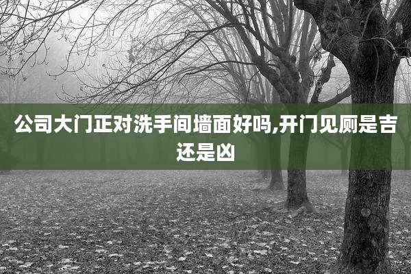 公司大门正对洗手间墙面好吗,开门见厕是吉还是凶