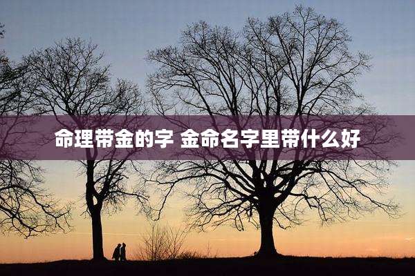 命理带金的字 金命名字里带什么好