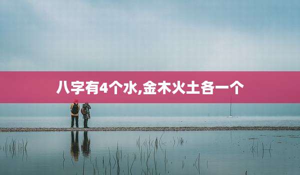 八字有4个水,金木火土各一个