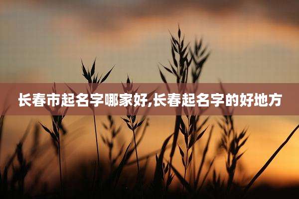 长春市起名字哪家好,长春起名字的好地方