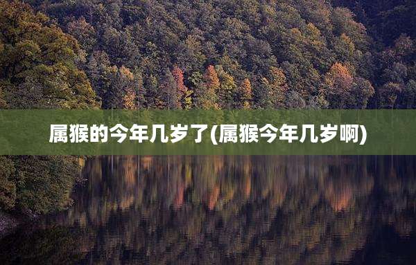 属猴的今年几岁了(属猴今年几岁啊)