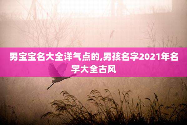 男宝宝名大全洋气点的,男孩名字2021年名字大全古风