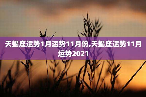 天蝎座运势1月运势11月份,天蝎座运势11月运势2021