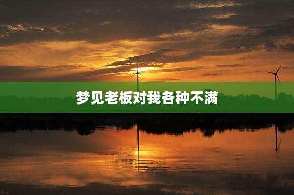 梦见老板对我各种不满