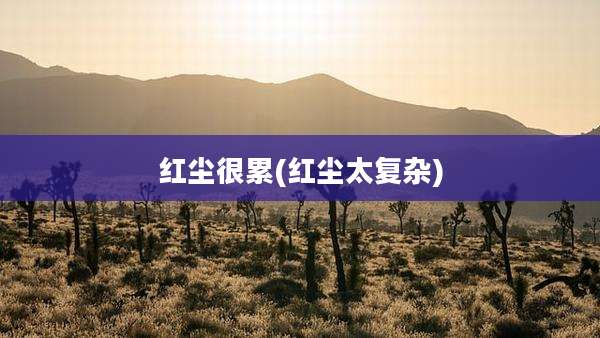 红尘很累(红尘太复杂)